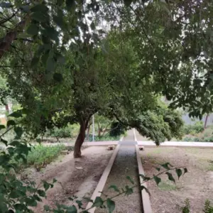 El legado olvidado de la acequia Aljufía