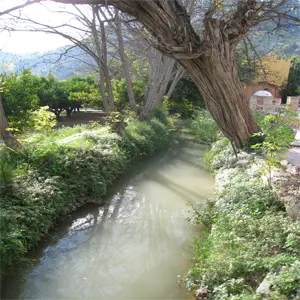 Paseos-por-la-huerta-de-Murcia