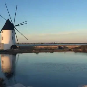 san-pedro-portada-600x600