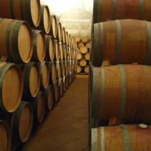 vino-jumilla-portada-300x300